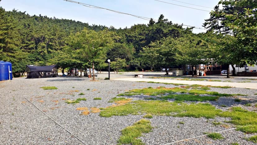 구름포해변캠핑장 사진 13