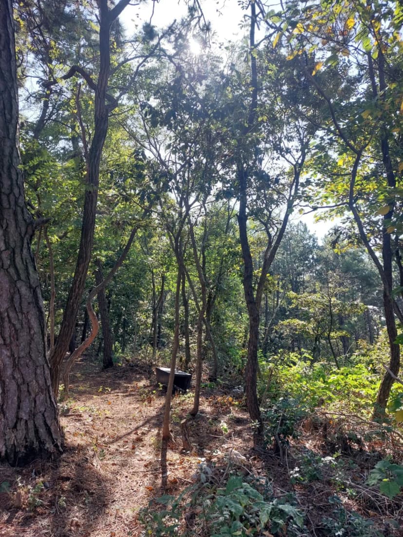 곡식정원(관광농원) 사진 9