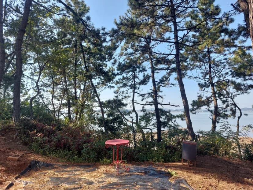 곡식정원(관광농원) 사진 11