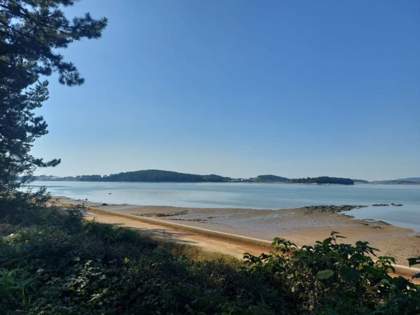 곡식정원(관광농원) 사진 15