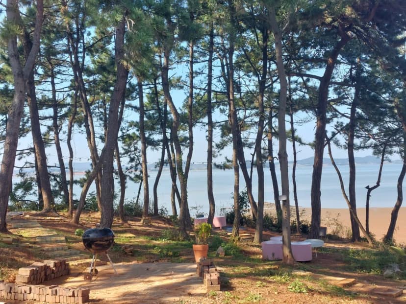 곡식정원(관광농원) 사진 18