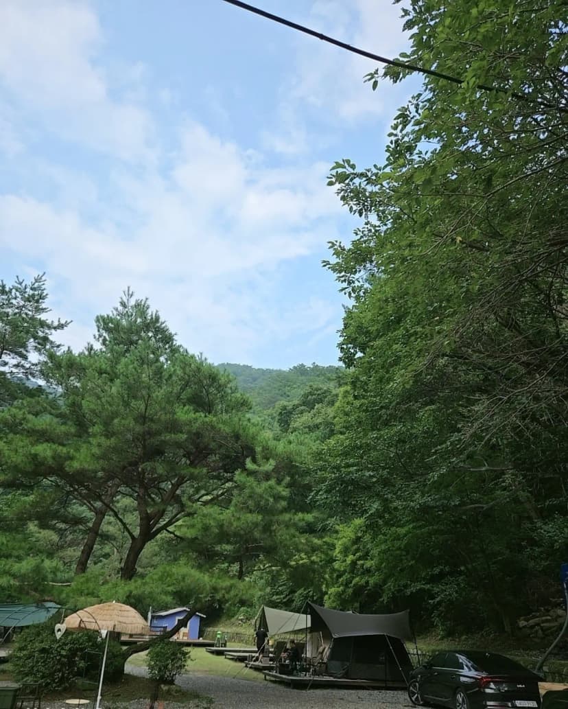 제니캠핑장 사진 16