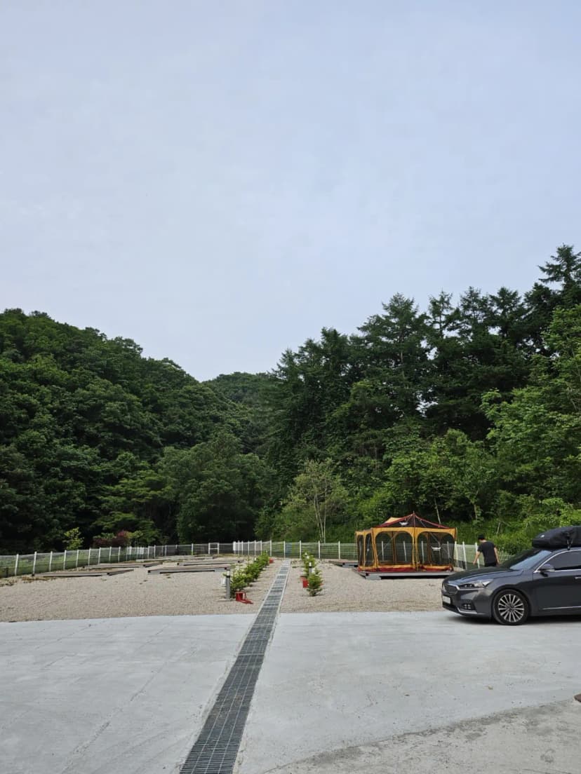 블루베리캠핑장 사진 4