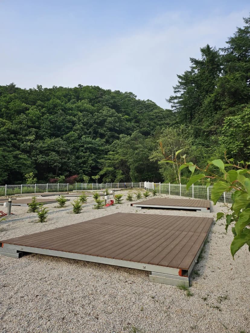블루베리캠핑장 사진 5