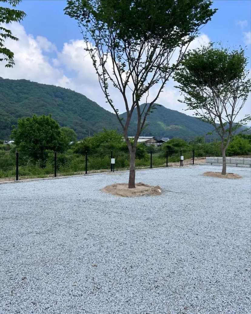 봄이네 캠핑장 사진 3