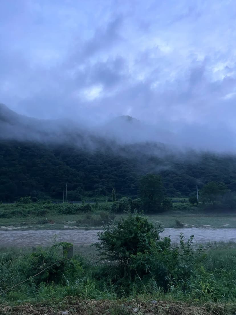 봄이네 캠핑장 사진 9