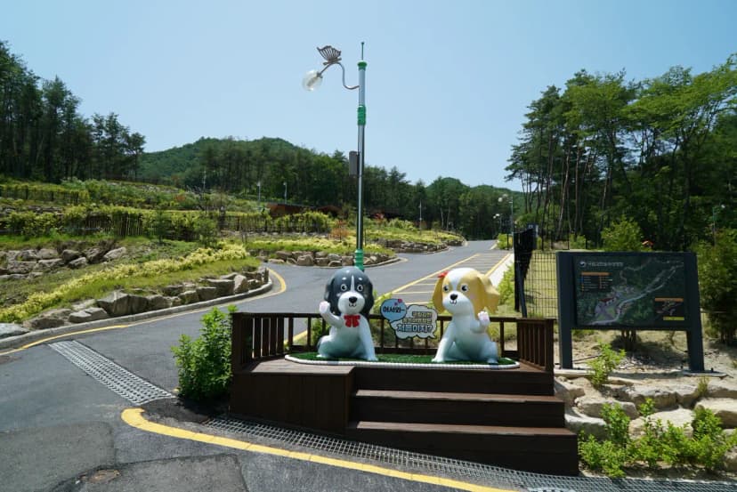 국립김천숲속야영장 사진 5
