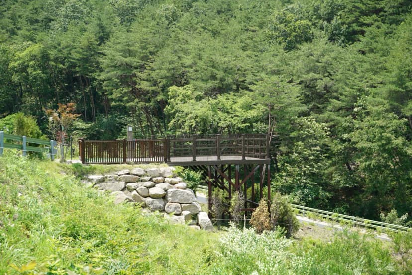 국립김천숲속야영장 사진 20