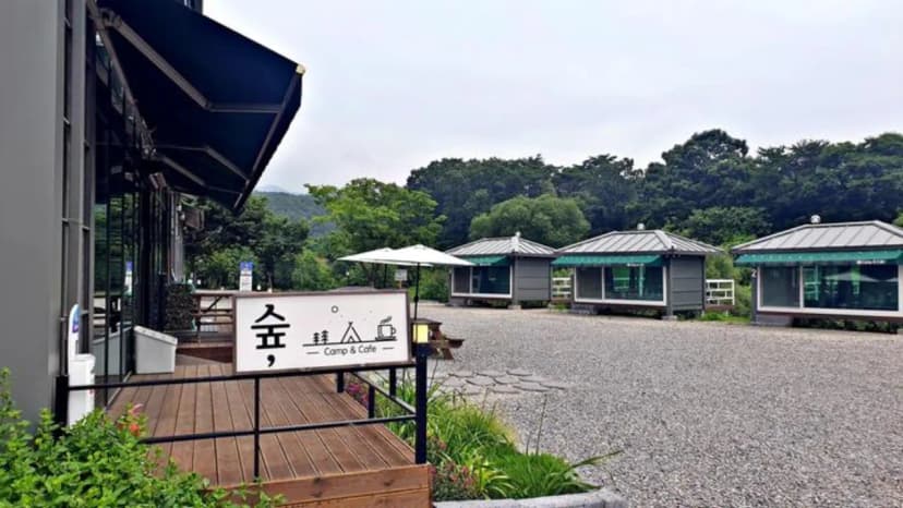 숲캠핑장 사진 3