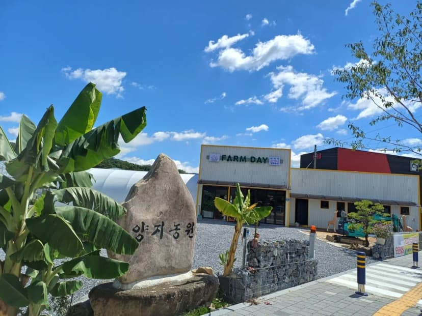 팜데이