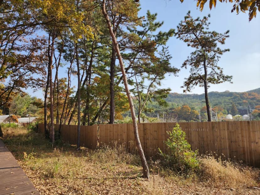 메리글램핑 사진 17