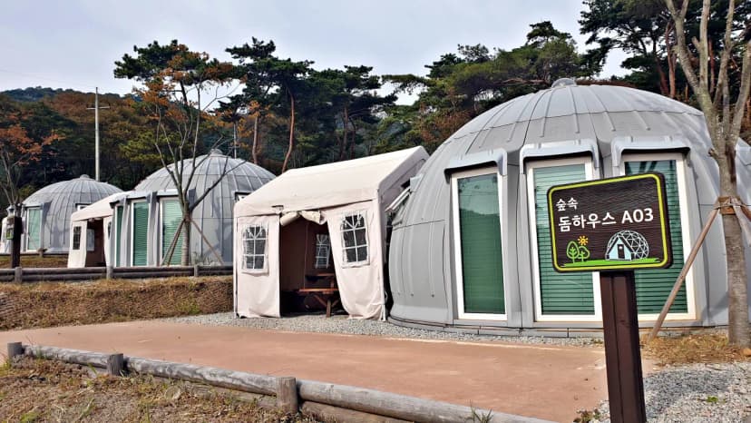 교룡공원 숲속야영장 사진 4