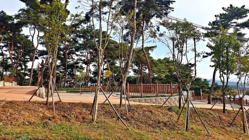교룡공원 숲속야영장 사진 7