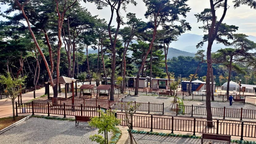 교룡공원 숲속야영장 사진 9