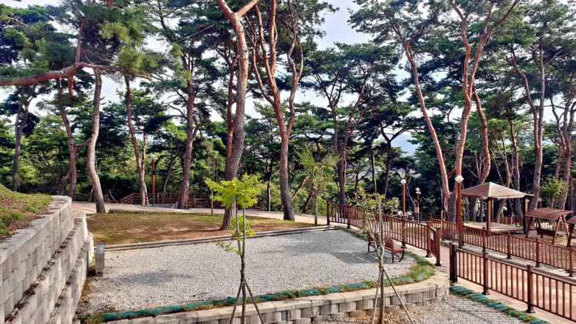 교룡공원 숲속야영장 사진 13