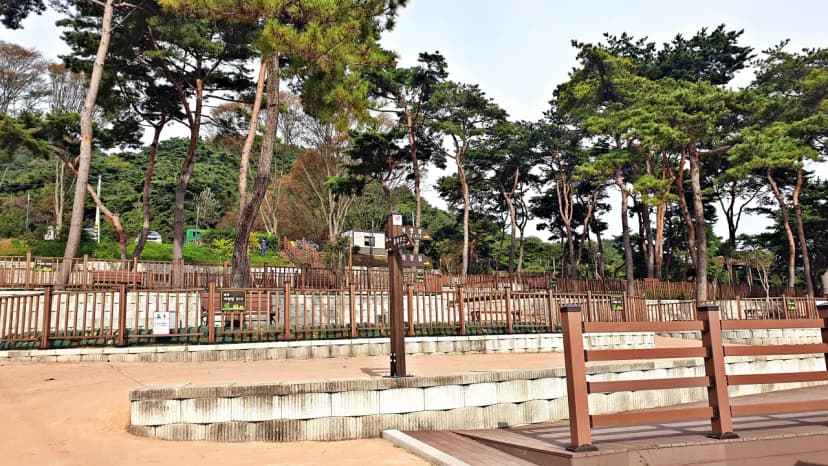 교룡공원 숲속야영장 사진 19