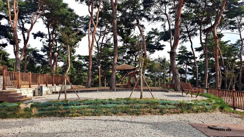 교룡공원 숲속야영장 사진 20