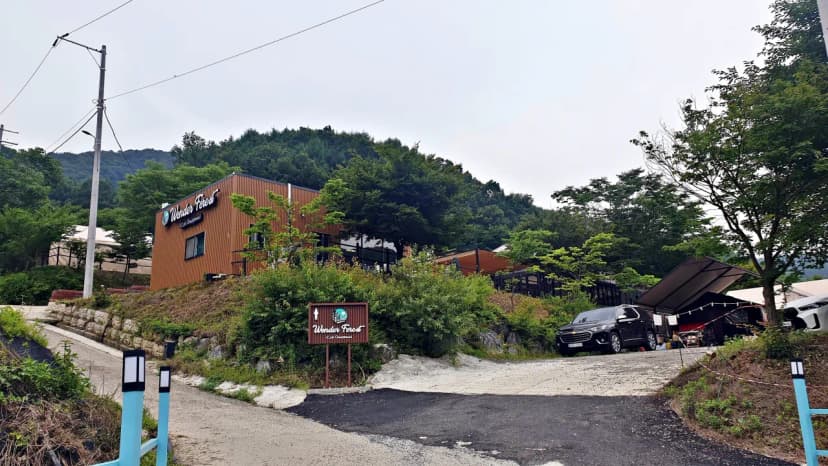 원더 포레스트 사진 4