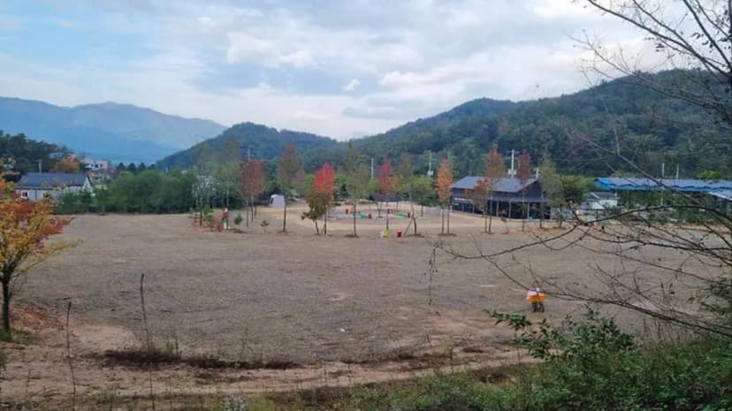포항 서숲 오토캠핑장 사진 2