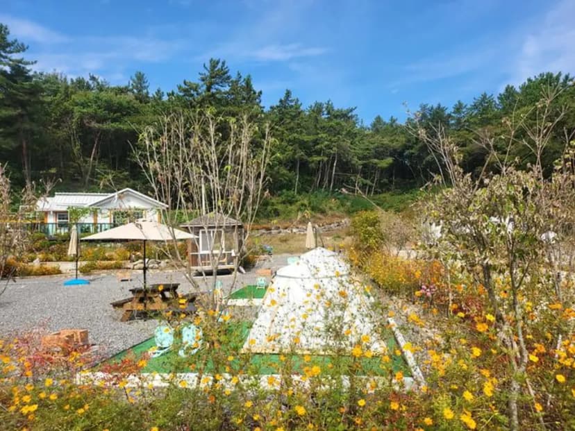 사천파인트리캠핑장