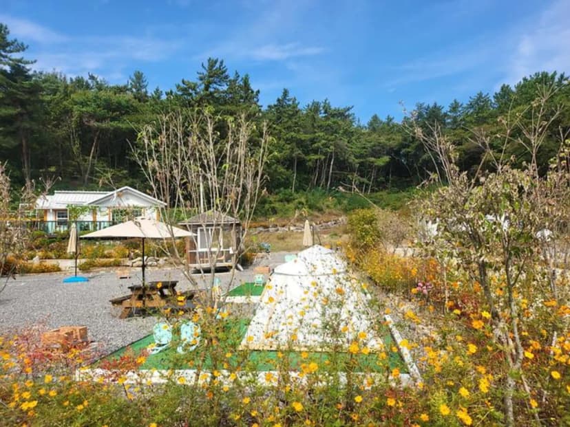 사천파인트리캠핑장 사진 2
