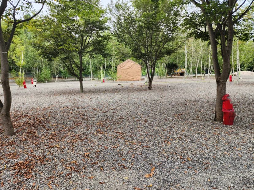 나무와 쉬리 사진 19