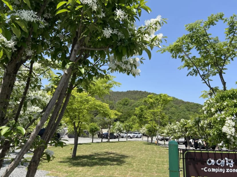 빨래터캠핑장 사진 11