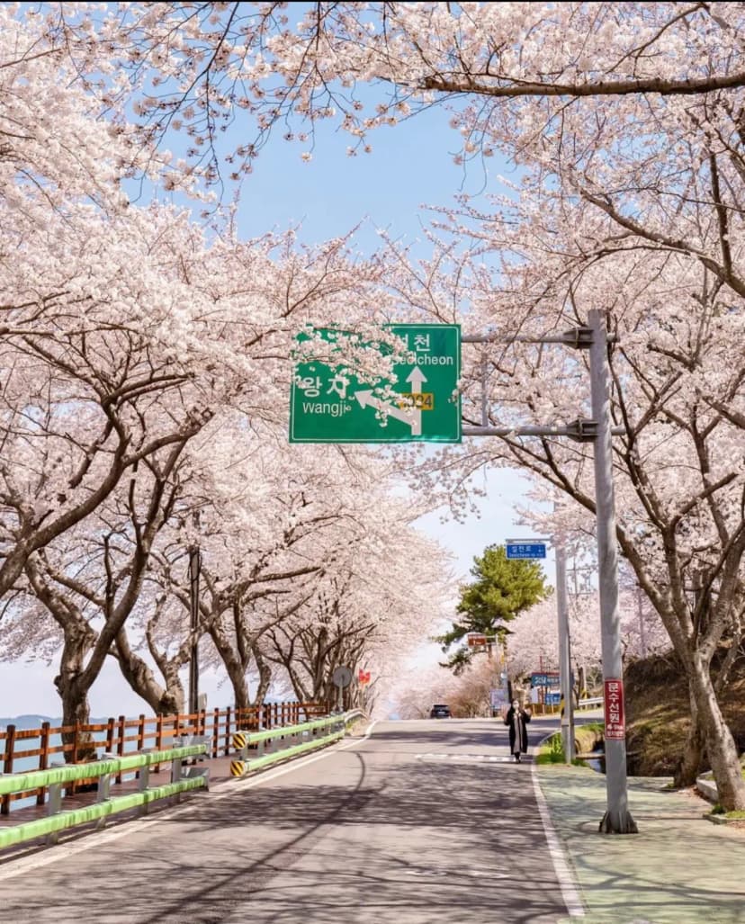 오시오 캠프