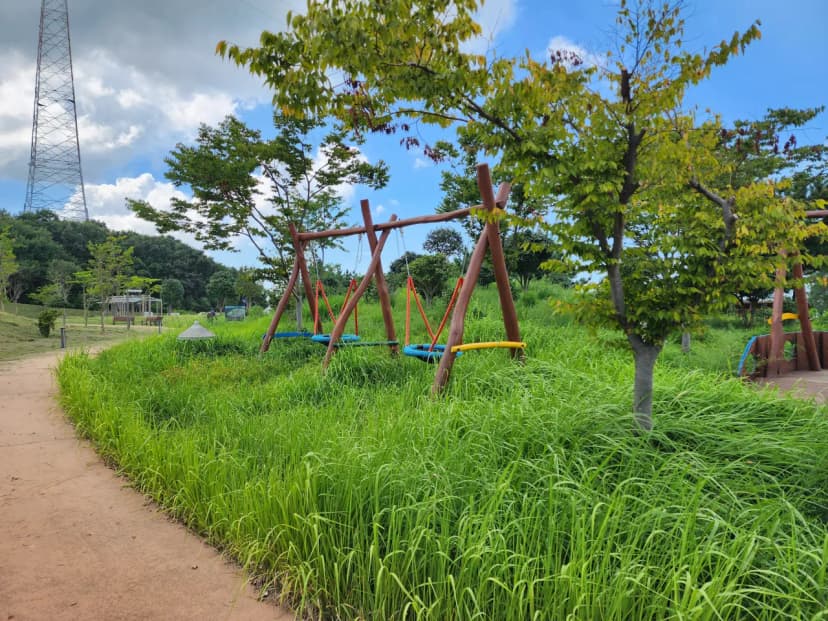 금강호 국민여가 캠핑장 사진 9