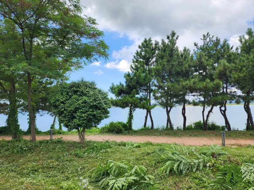 금강호 국민여가 캠핑장 사진 13