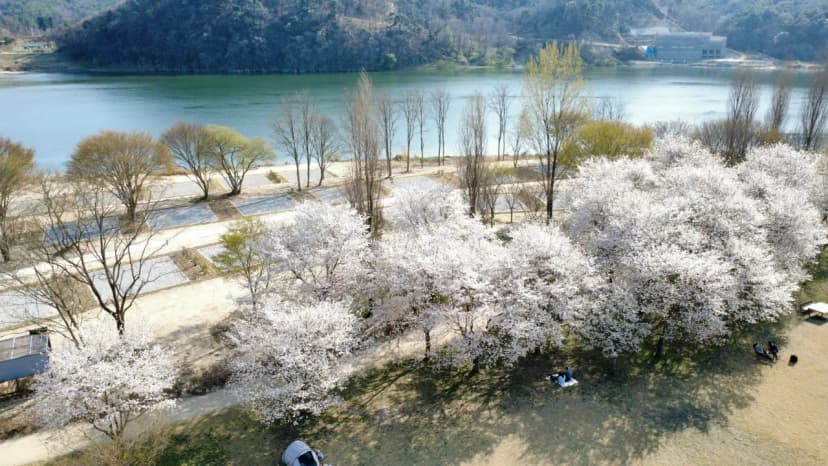 강천섬캠핑장 사진 14