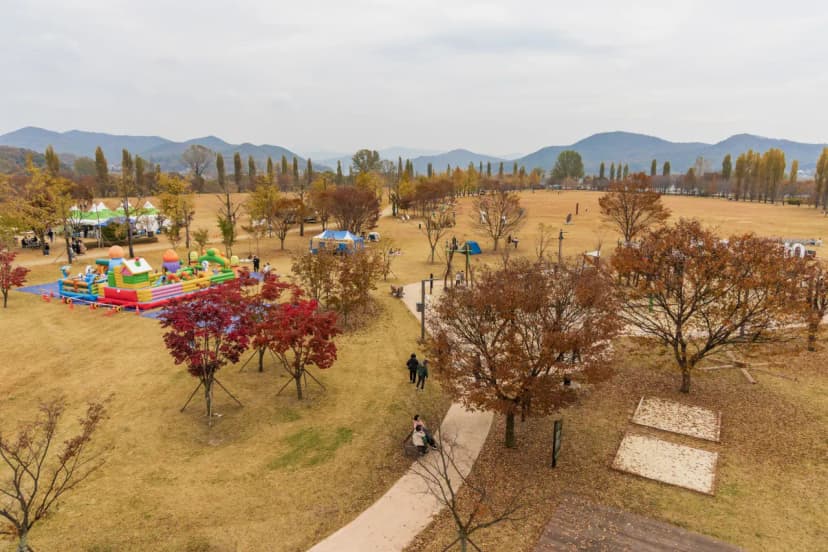 강천섬캠핑장 사진 19