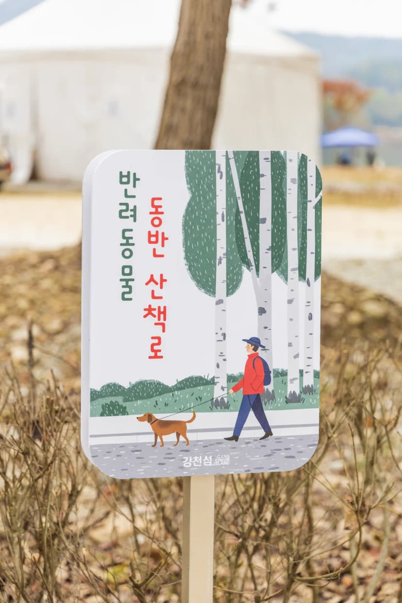 강천섬캠핑장 사진 20