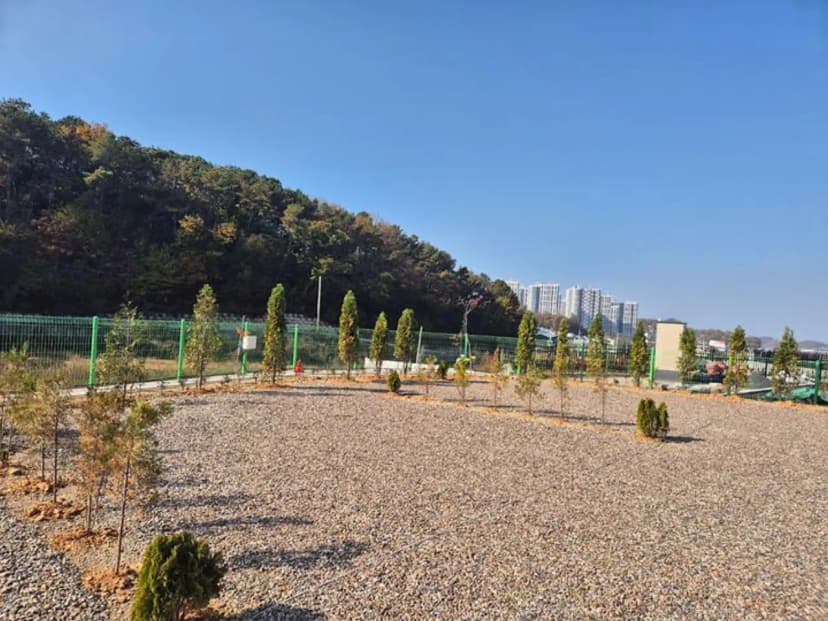 파주 성수캠핑장 사진 2