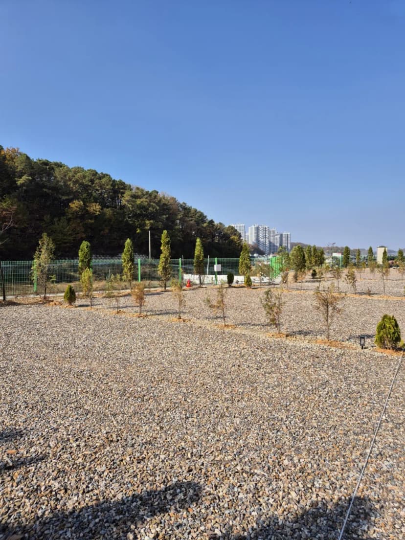 파주 성수캠핑장 사진 11