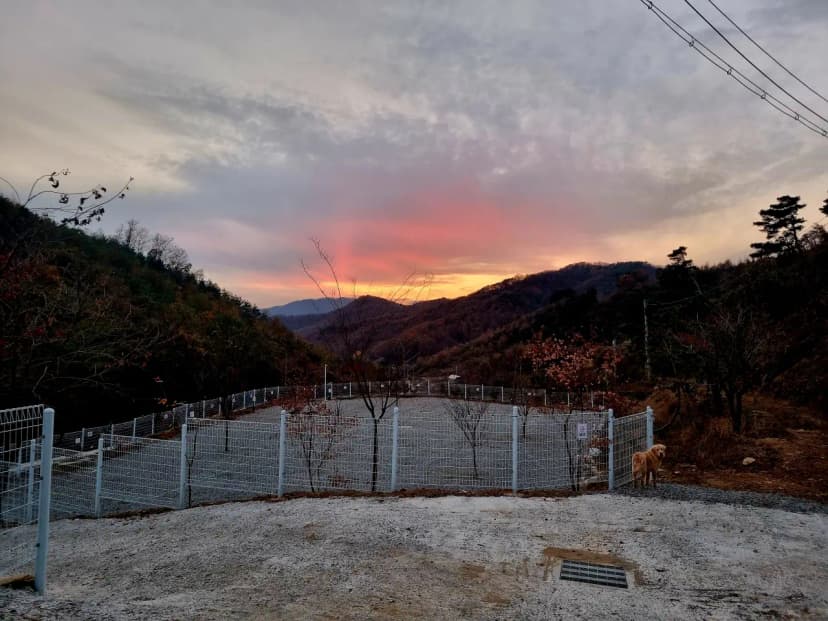 달꿈 오토캠핑장 사진 7