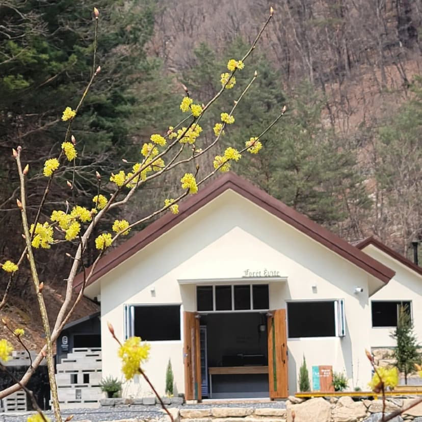 포레 앙비떼 사진 5