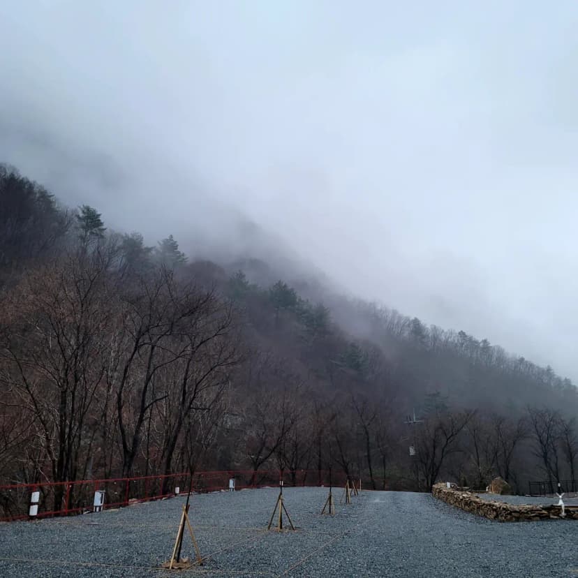 포레 앙비떼 사진 11