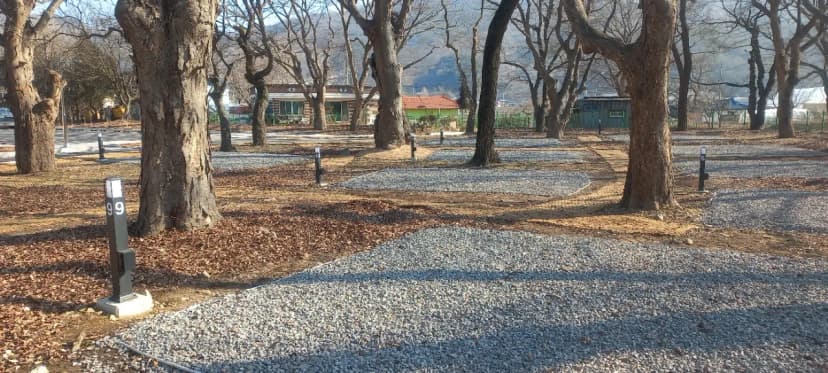 선돌느티나무캠핑마을 영농조합법인 사진 6