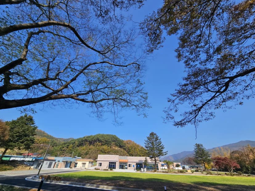 선돌느티나무캠핑마을 영농조합법인 사진 13