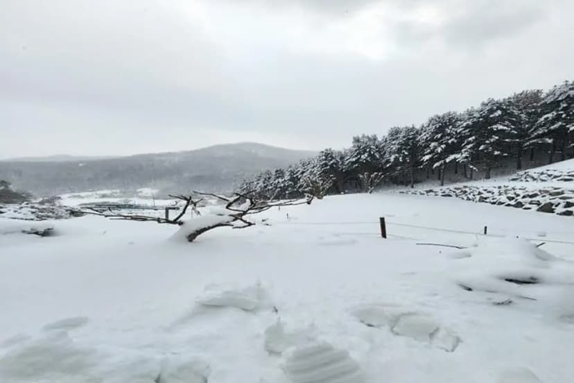 구릉지캠핑장