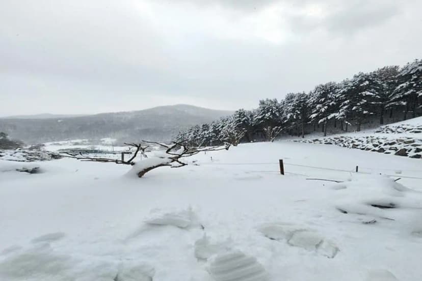 구릉지캠핑장 사진 2