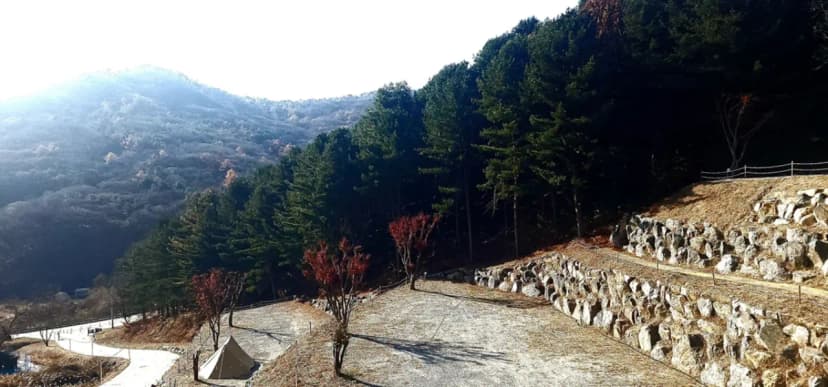 구릉지캠핑장 사진 10
