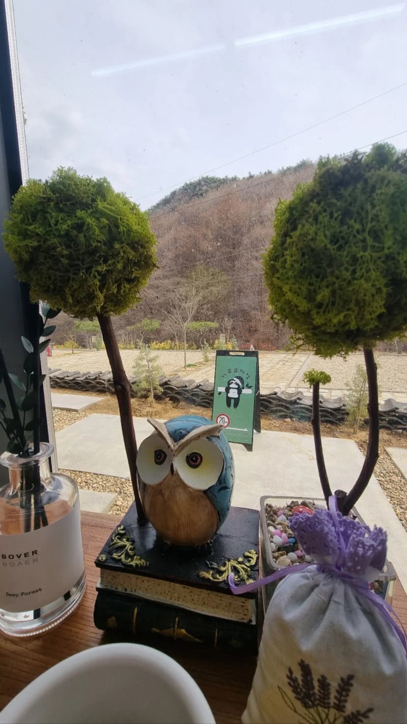 캠핑 유유자적 사진 14