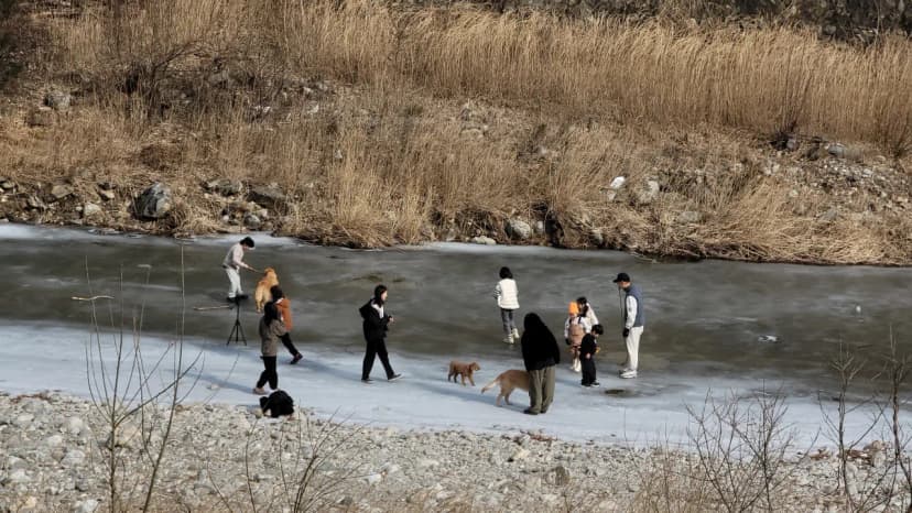 부라보캠프 사진 12