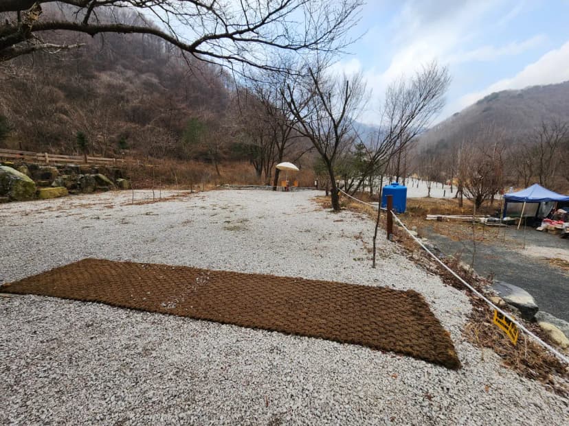 담터 민수 캠핑장 사진 11