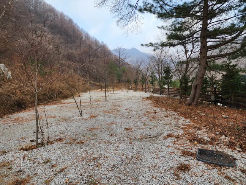 담터 민수 캠핑장 사진 13