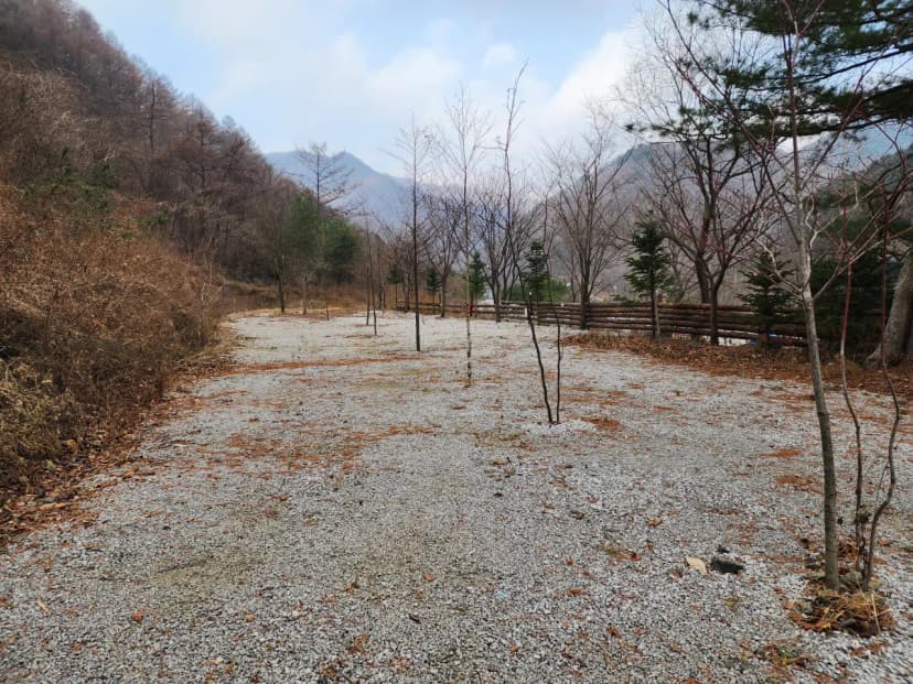 담터 민수 캠핑장 사진 15