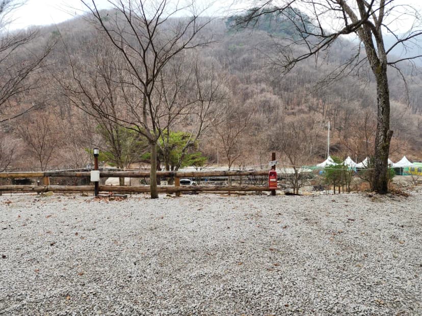담터 민수 캠핑장 사진 17
