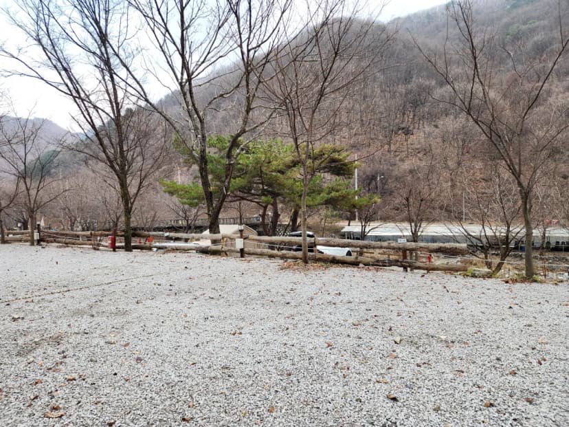 담터 민수 캠핑장 사진 19